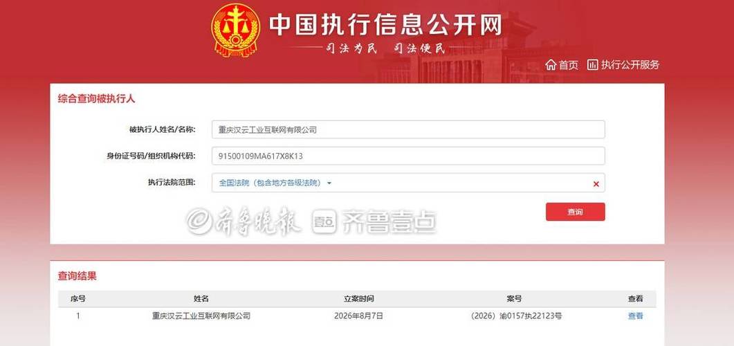 数据驱动未来 解码互联网数据服务、软件开发与数据处理的核心动能